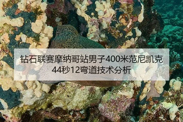 钻石联赛摩纳哥站男子400米范尼凯克44秒12弯道技术分析