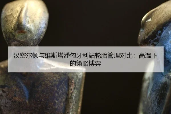 han-mi-er-dun-yu-wei-si-ta-pan-xiong-ya-li-zhan-lun-tai-guan-li-dui-bi-gao-wen-xia-de-ce-lve-bo-yi-3-633.jpg